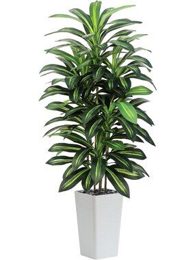 6FT Artificial Dracaena Tree - Faux Silk Indoor Plant with White Planter